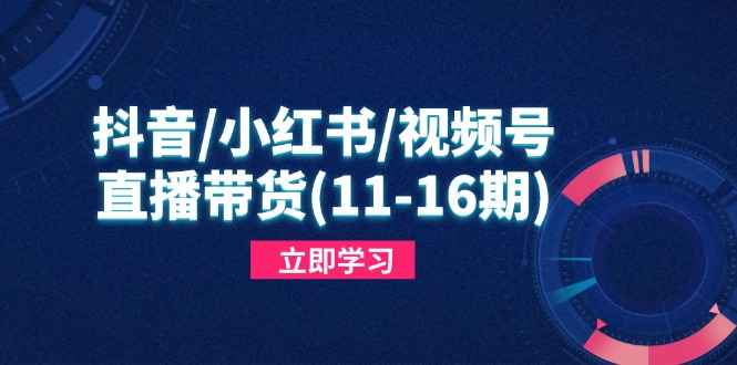 抖音/小红书/视频号/直播带货(11-16期好项目网-专注分享网络创业项目落地实操课程 – 全网首发_高质量创业项目输出好项目网
