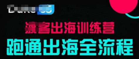 出海训练营基础课，​跑通出海全流程，实战案例拆解好项目网-专注分享网络创业项目落地实操课程 – 全网首发_高质量创业项目输出好项目网