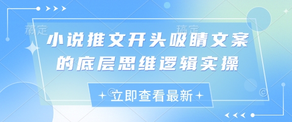 小说推文开头吸睛文案的底层思维逻辑实操好项目网-专注分享网络创业项目落地实操课程 – 全网首发_高质量创业项目输出好项目网