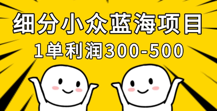 细分小众蓝海项目，一单利润300-500，每月收入稳定4w+智小邦项目网-专注分享网络创业项目落地实操课程 – 全网首发_高质量创业项目输出智小邦项目网